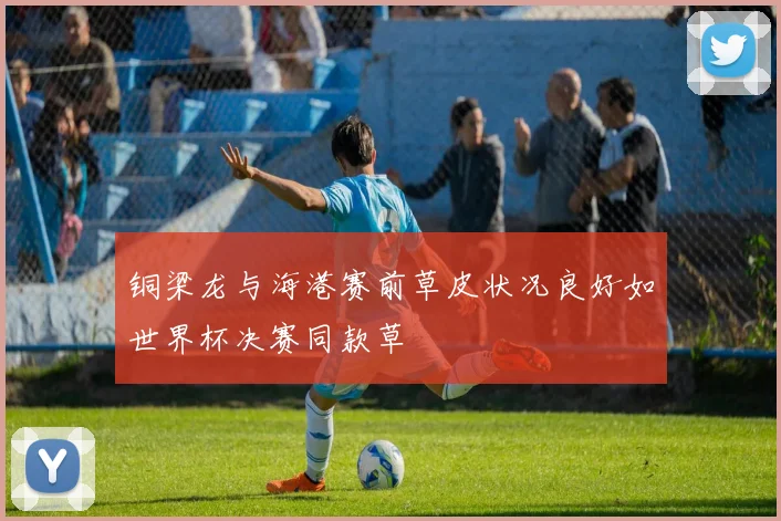 铜梁龙与海港赛前草皮状况良好如世界杯决赛同款草